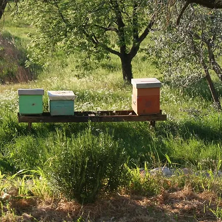 Farm stay Bioagriturismo Podere Montisi *