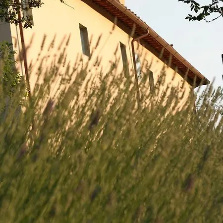 Bioagriturismo Podere Montisi Farm stay Calenzano